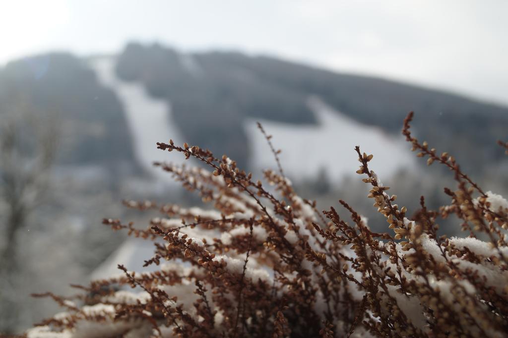 Belvedere Semmering Exterior photo